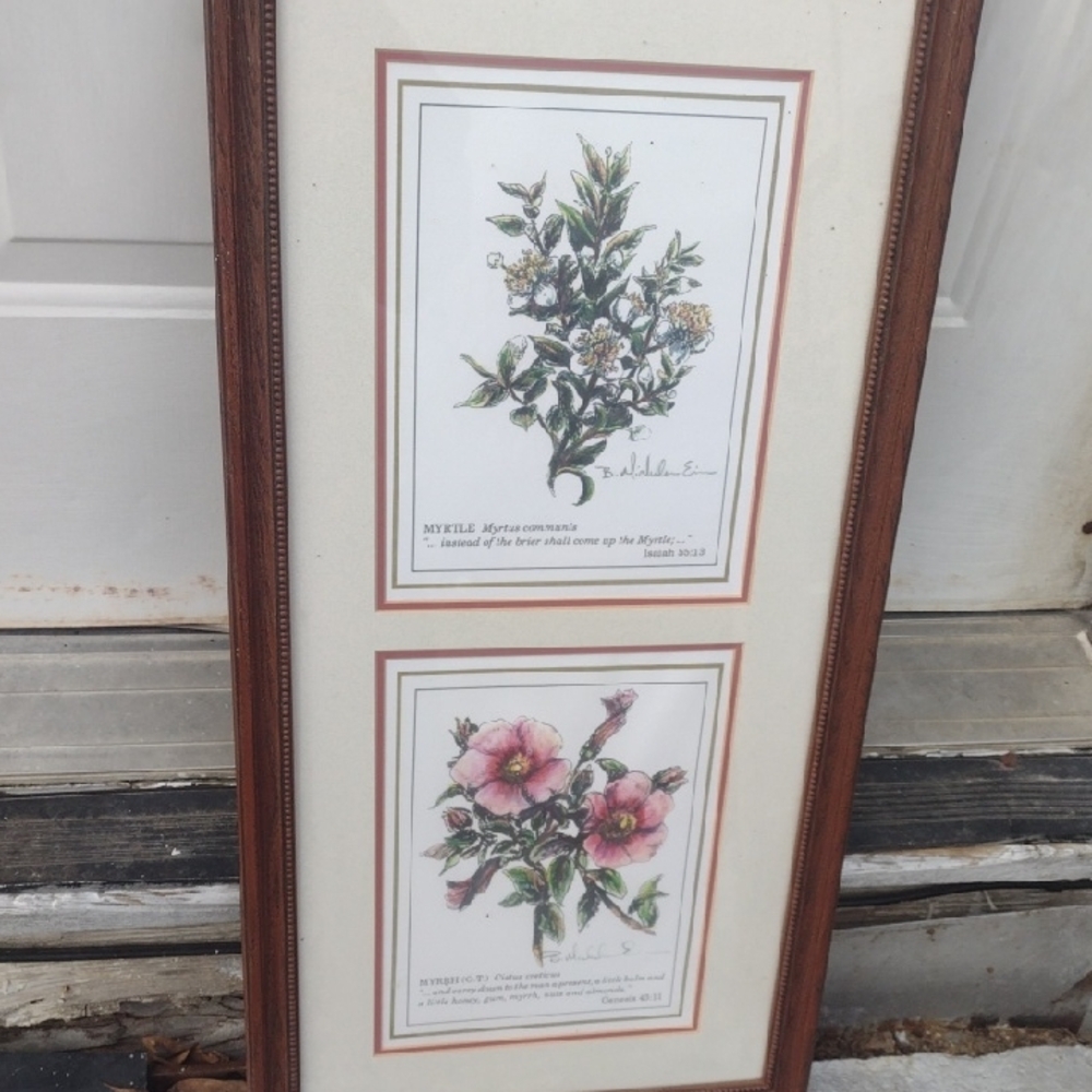 Signed Artist Barbara Mickelsen Framed Painting